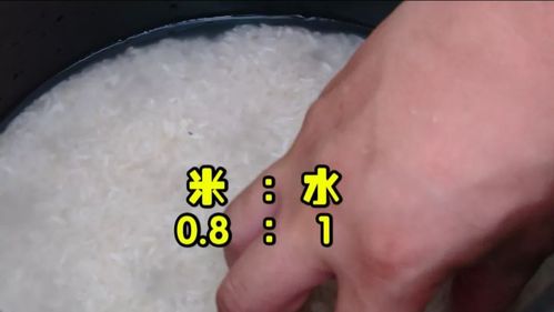 米饭，米饭和水的比例！